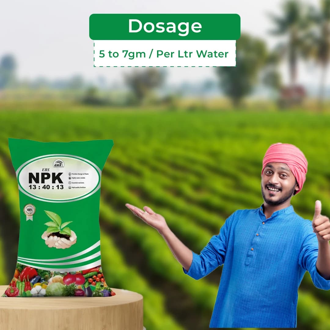 EBS NPK 13:40:13 Fertilizer - 100% Water Soluble - Image 5