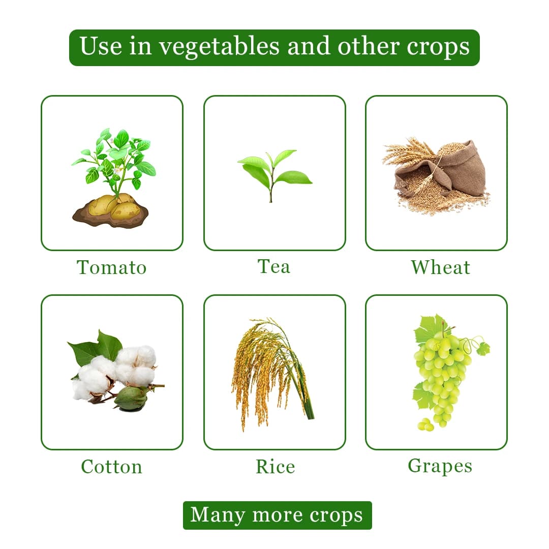 HPM All Clear - Paraquat Dichloride 24% SL Non Selective & Contact Herbicide - Image 4
