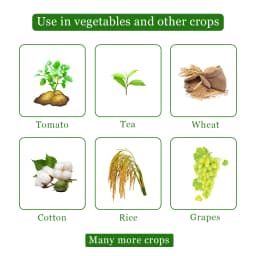 HPM All Clear - Paraquat Dichloride 24% SL Non Selective & Contact Herbicide 4
