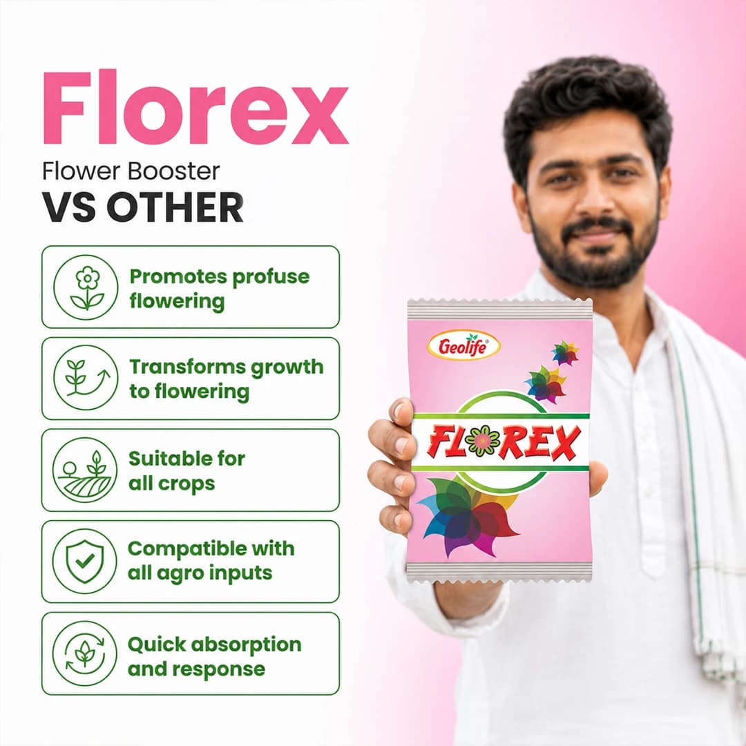 ಜಿಯೋಲೈಫ್ ಫ್ಲೋರೆಕ್ಸ್, ಹೆಚ್ಚು ಹೂವು ಬಿಡಲು ವಿಶಿಷ್ಟ ನ್ಯಾನೋ ತಂತ್ರಜ್ಞಾನ ಉತ್ಪನ್ನ, ತ್ವರಿತ ಹೀರಿಕೊಳ್ಳುವಿಕೆ ಮತ್ತು ಸಸ್ಯದಿಂದ ಶೀಘ್ರ ಪ್ರತಿಕ್ರಿಯೆ - Image 2