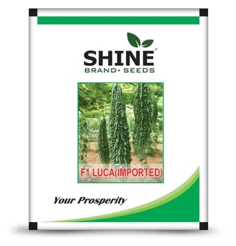 Luca (Imported) Bitter Gourd Hybrid F1 - Shine Brand Seeds, High Yielding Variety - Image 1