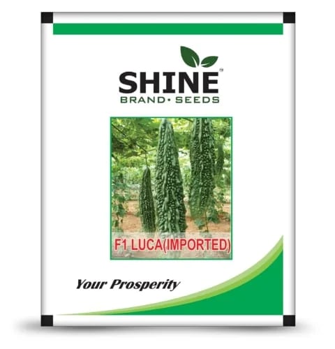Luca (Imported) Bitter Gourd Hybrid F1 - Shine Brand Seeds, High Yielding Variety