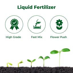 EBS NPK 00:52:34 Water Soluble Fertilizer, Mono Potassium Phosphate, Best For Drip Irrigation And Foliar Application 3