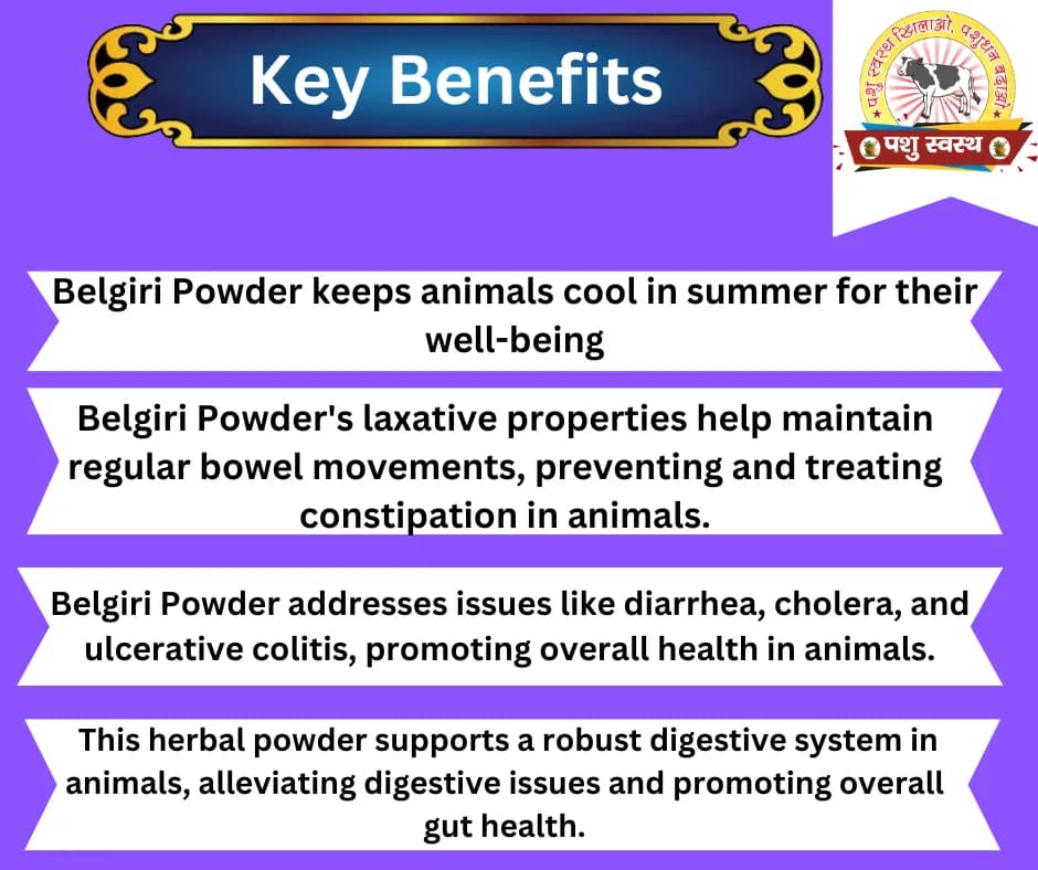 PASHU SVASTH BELGIRI POWDER, Pure Natural Herbs, Natural Cooling And Digestive Support For Animals - Image 2