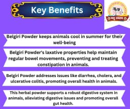 PASHU SVASTH BELGIRI POWDER, Pure Natural Herbs, Natural Cooling And Digestive Support For Animals 2