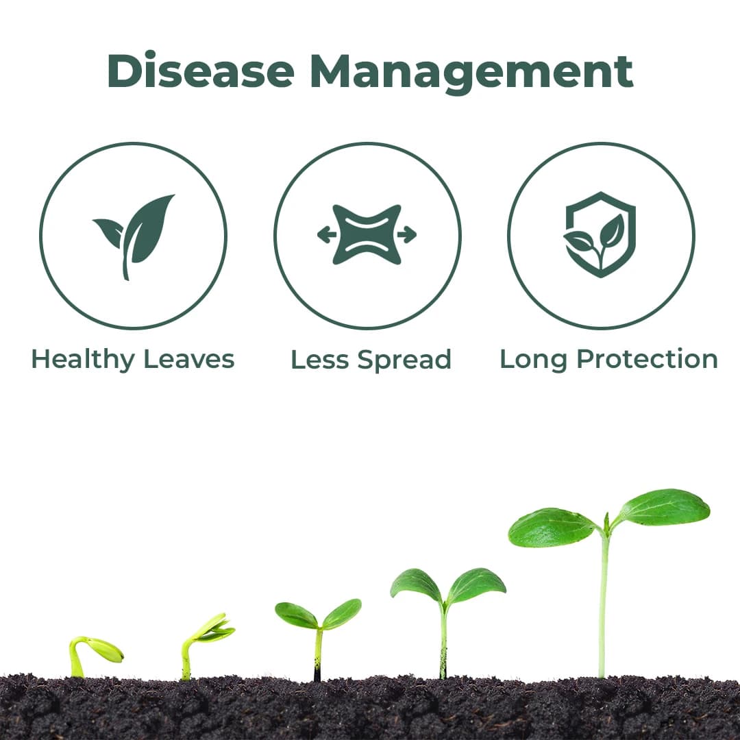 Katyayani Concor Fungicide - Difenoconazole 25% EC - Image 3