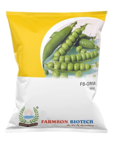 Farmson FB Griva Peas Seeds, Medium Tall with High Yield, Pencil Type Pod Shape