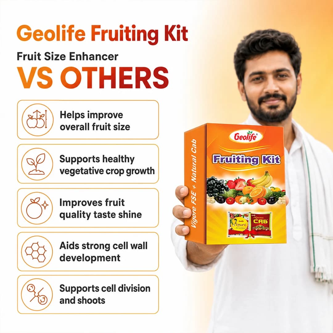 ಜಿಯೋಲೈಫ್ ಫ್ರೂಟಿಂಗ್ ಕಿಟ್ 60GM (ವಿಗೋರ್ ಫ್ರೂಟ್ ಸೈಜ್ ಎನ್ಹ್ಯಾನ್ಸರ್ 10 Gm + ನ್ಯಾಚುರಲ್ ಕ್ಯಾಬ್ 50 Gm) - Image 2