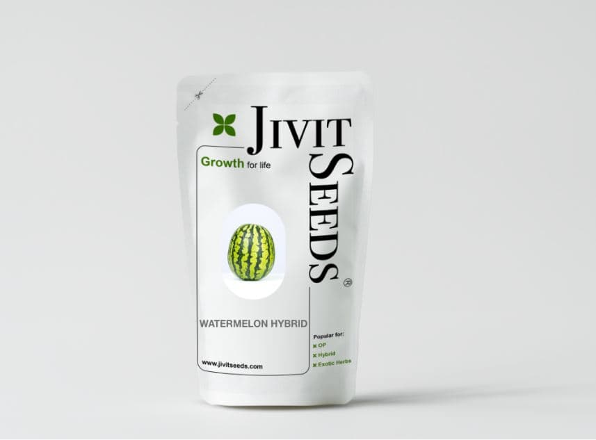 Jivit F1 Hybrid JS Himalaya Watermelon Seeds, Oblong Shape and Dark Green Color. - Image 1