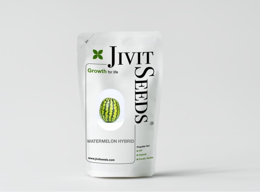 Jivit F1 Hybrid JS Himalaya Watermelon Seeds, Oblong Shape and Dark Green Color.