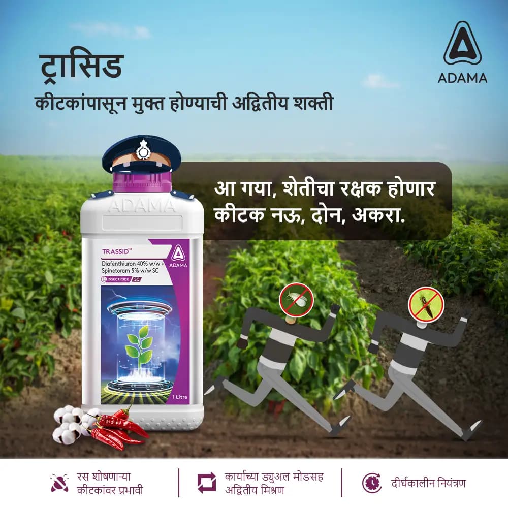 Adama Trassid Diafenthiuron 40% + Spinetoram 5% SC Insecticide, Dual Action Solution - Image 2