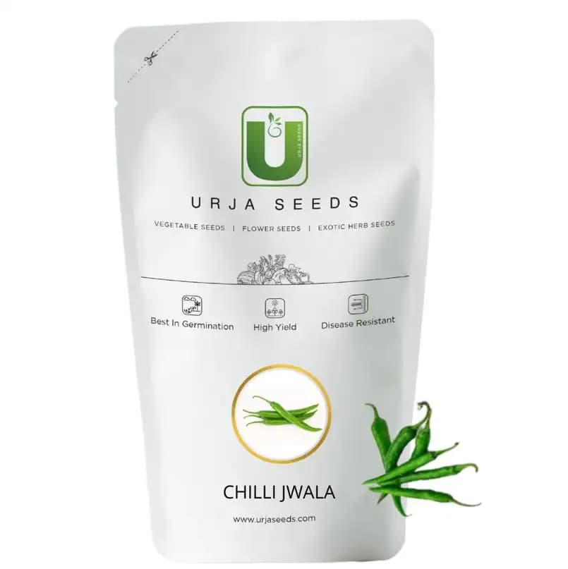 Urja Jwala Chilli Seeds, Very Hot Turning Red On Maturity and Good For Drying - Image 1