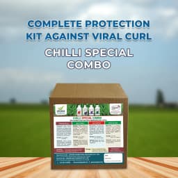 Chilli Special Combo Specially made for Chilli Crop, contains anti viral, anti fungal, flowering & fruiting enhancer, biofertilizer 2