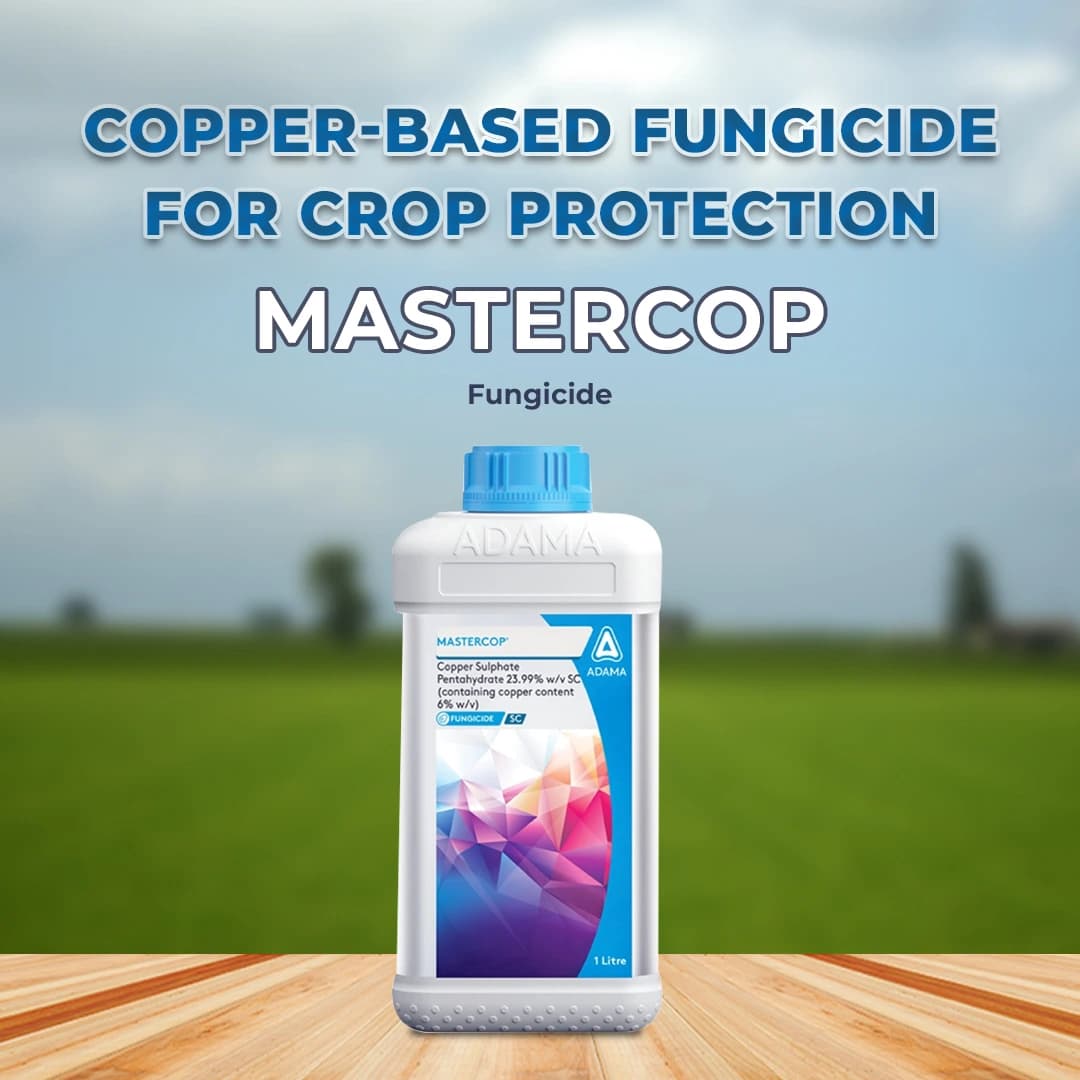 Adama Mastercop Copper Sulfate Pentahydrate 23.99% Fungicide, Release Of Copper Ions For Faster Activity On Pathogens Present On The Leaves - Image 2