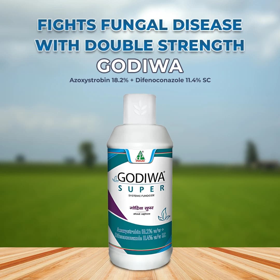 Dhanuka Godiwa Super Fungicide - Image 2
