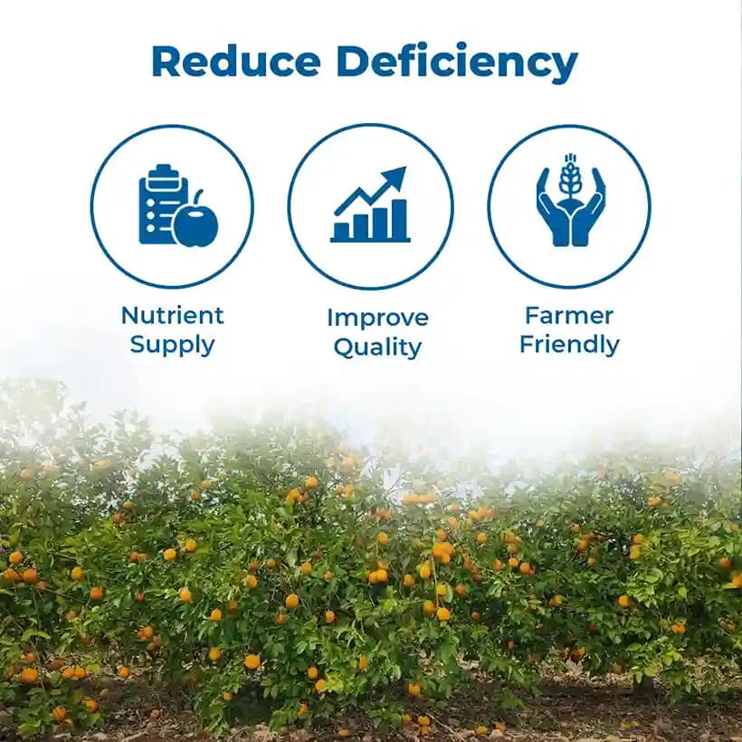 Nutrivate Arka Citrus Special Fertilizer - Image 3