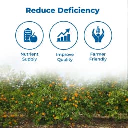 Greenovate Nutrivate Arka Citrus Special, Mix Micronutrients (Zinc, Ferrous, Boron, Manganese, Copper, Magnesium, Molybdenum & Other) 3