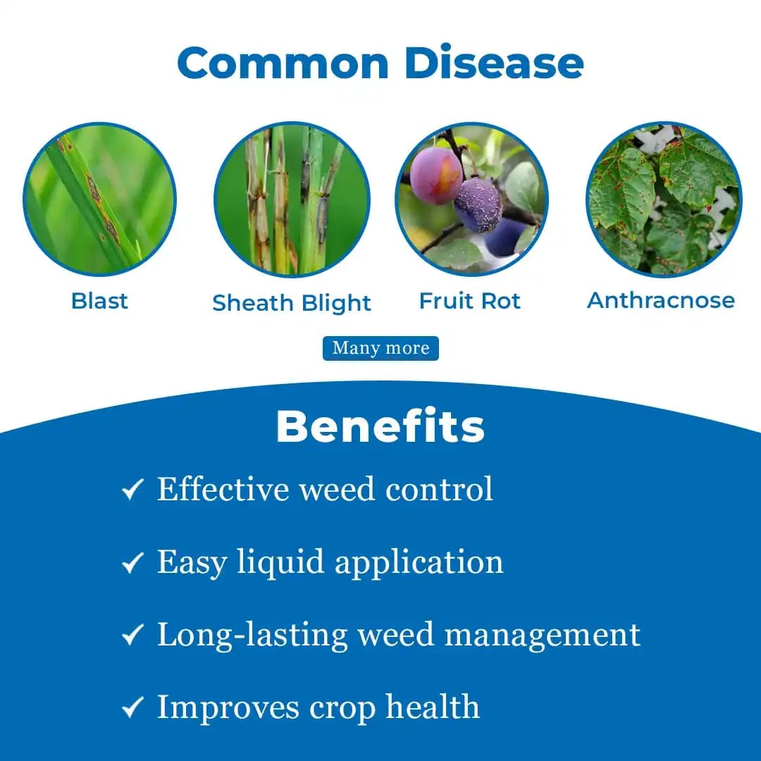 Mahindra Summit Difenso Thiophanate Methyl 70% WP, Broad Spectrum Systemic Fungicide - Image 3