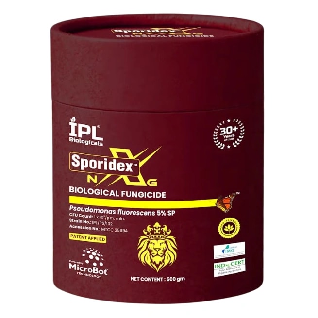 IPL Sporidex Pseudomonas Fluorescens 5% SP Biological Fungicide, Enhances Plant Root Growth And Improves Crop Yield