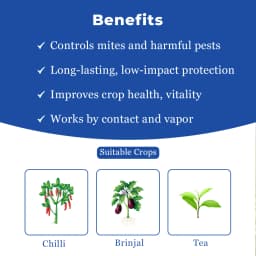 UPL Mastamite Propargite 57% EC Insecticide, Stop Feeding Immediately And Egg Laying 4