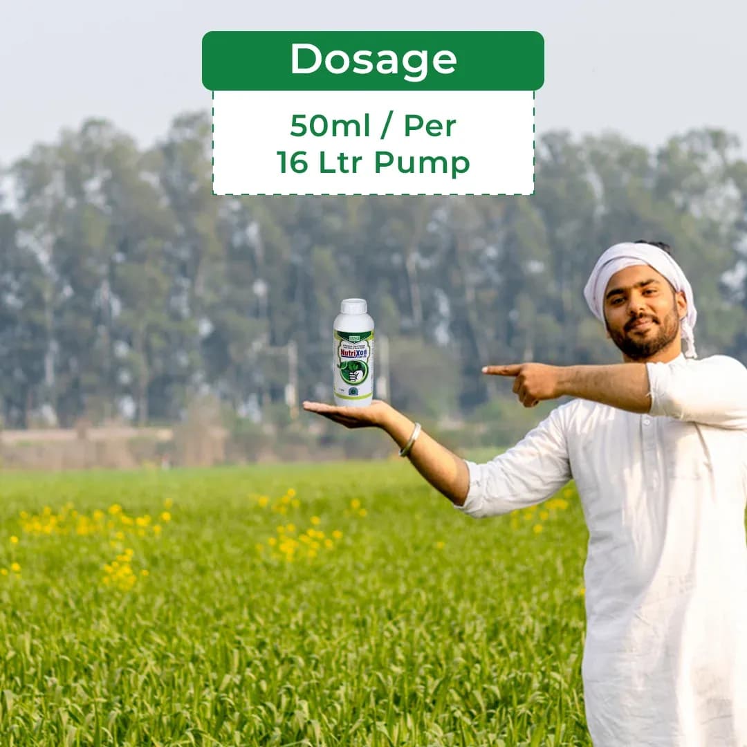 बीएसीएफ न्यूट्रिक्सन कैल एसएल - कैल्शियम, बोरोन, अमीनो एसिड। फल और फूल गिरने से रोकता है, जैविक और अजैविक तनाव को कम करता है, फल का आकार बढ़ाता है - Image 5