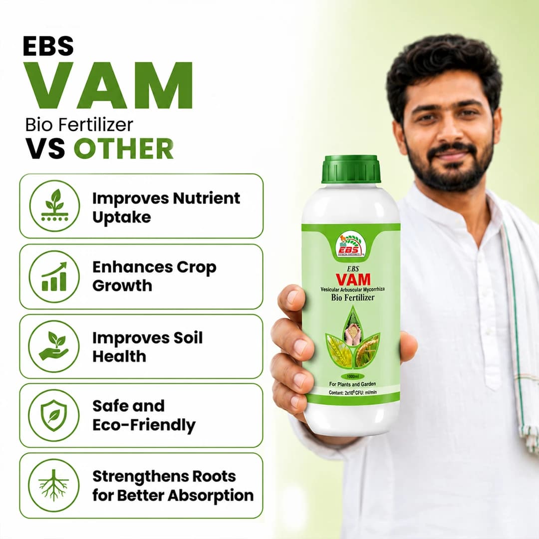EBS VAM Bio Fertilizer (Vesicular Arbuscular Mycorrhizal) To Improve Soil Fertility In Your Farm & Garden - Image 6