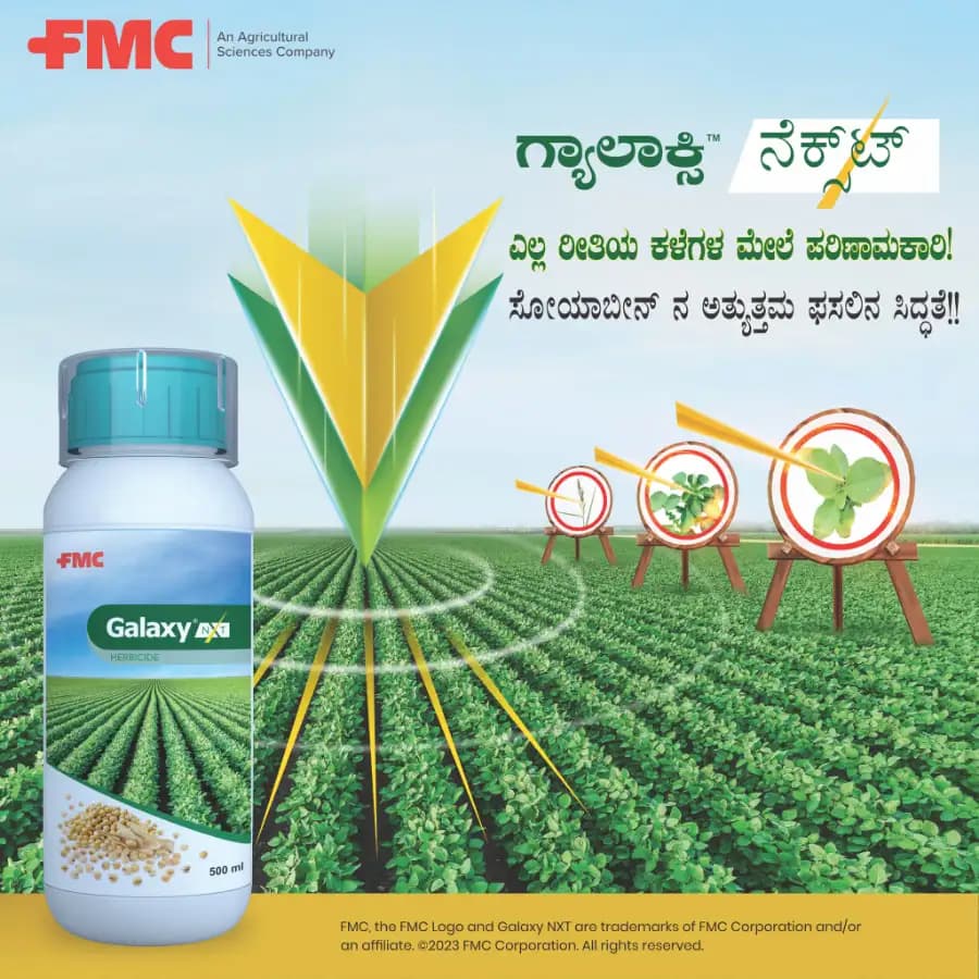FMC Galaxy NXT Fluthiacet-Methyl 2.5% + Quizalofop-Ethyl 10% EC Herbicide, Post-Emergent, Superior Control Weeds In Crops - Image 2
