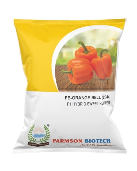 Farmson FB Orange Bell 2044 F1 Hybrid Sweet Pepper Seeds, Medium Tall and TMV Resistant (1000 Seeds)