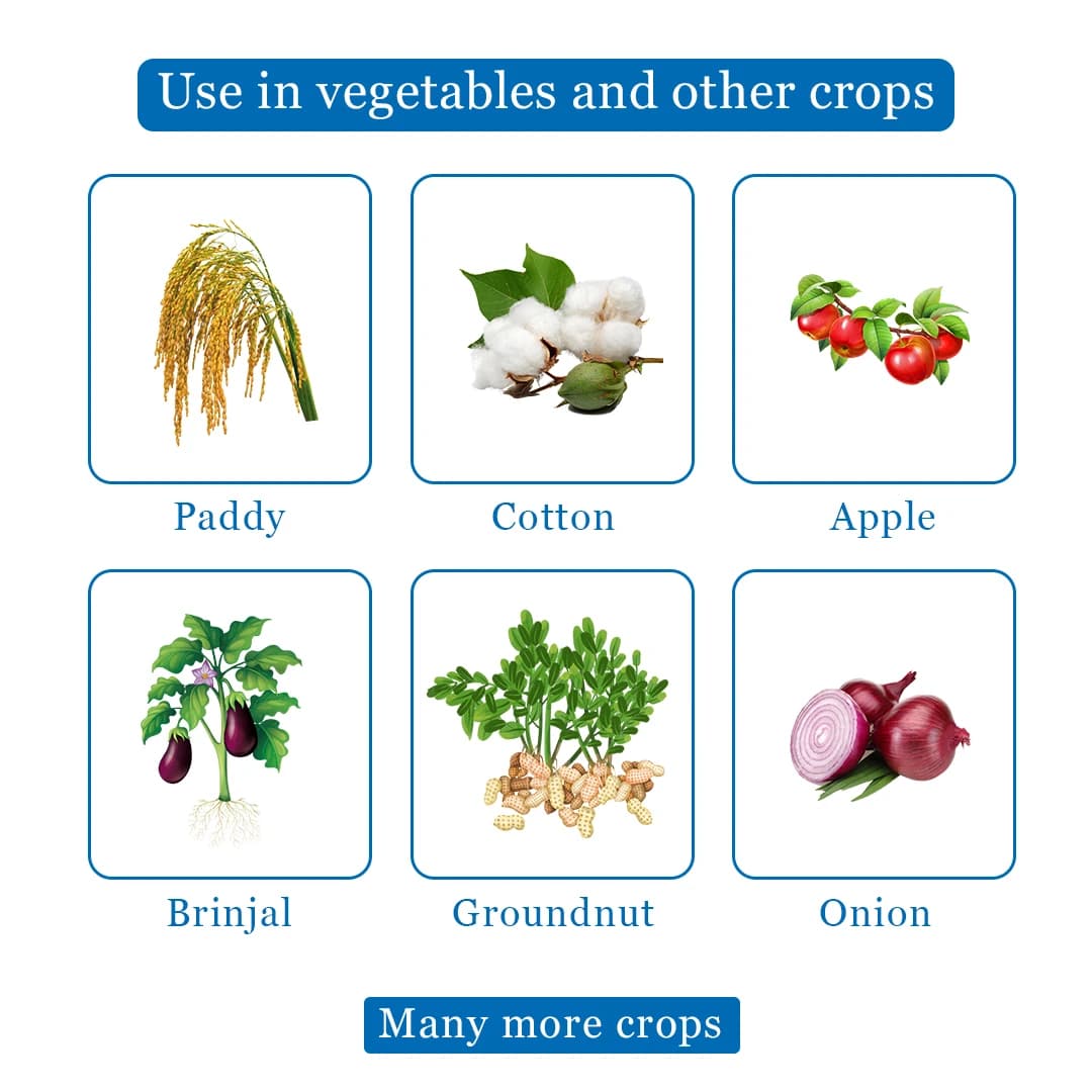 Crystal Dursban Chlorpyriphos 20%EC Insecticide, Broad-Spectrum Insecticide - Image 4