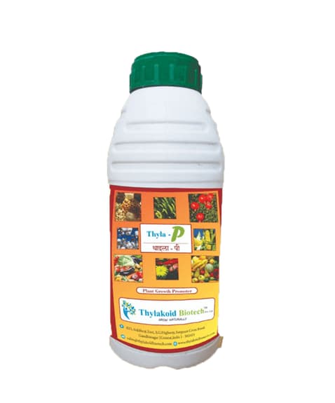 Thyla P Reduce the phosphorus deficiency in all crops. Phosphorus 13 to 14%, Protein Hydrolysate 40%, Nitrogen 5 to 6%, Organic carbon less than 50% - Image 1