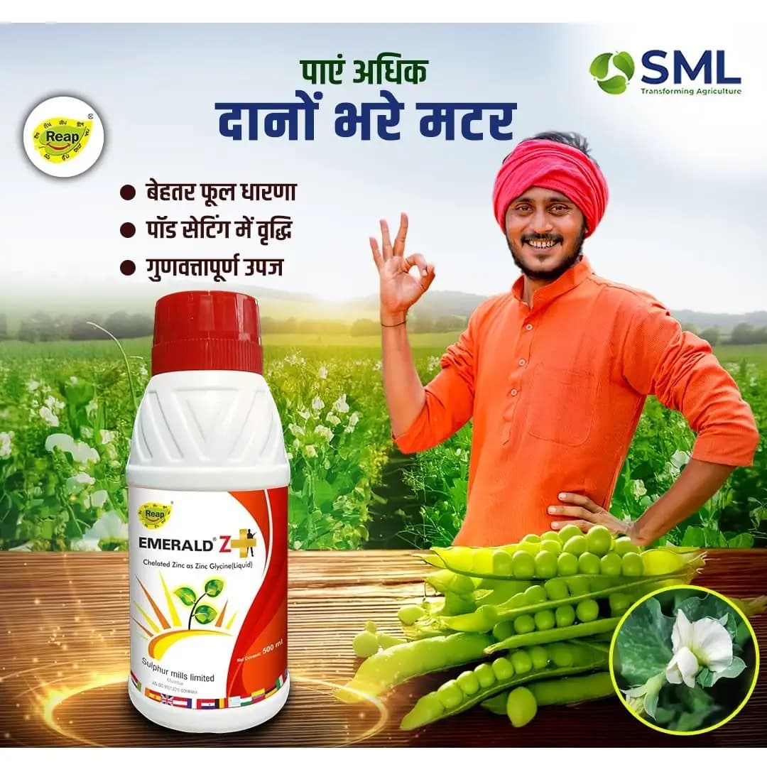 SML Emerald Z Plus Zinc Glycine Chelated Fertilizer, Enhanced Plant Growth And Yield - Image 3