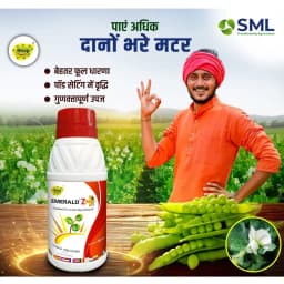 SML Emerald Z Plus Zinc Glycine Chelated Fertilizer, Enhanced Plant Growth And Yield 3