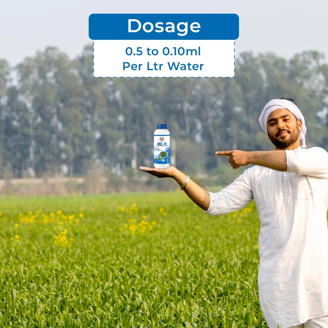 EBS DEL-11 Insecticide - Image 5