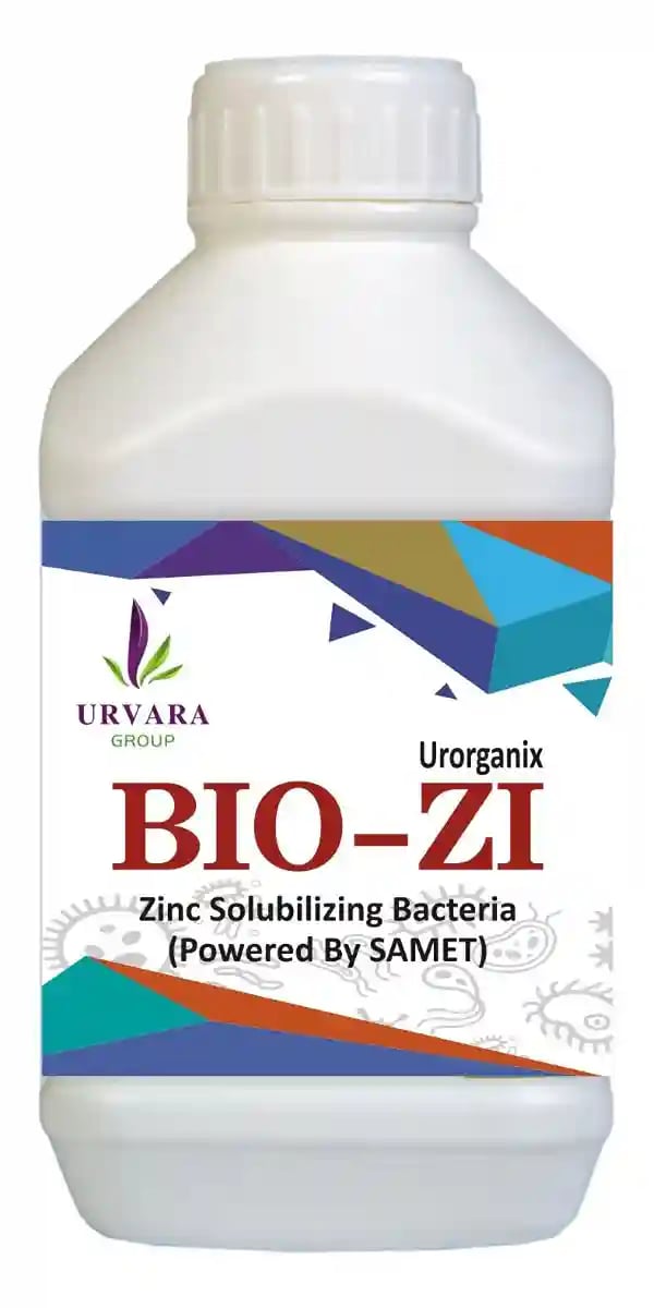 Biozi - Zinc Solubilising Bacteria for Zinc mobilization in the soil for easy absorption of zinc byroots from the soil