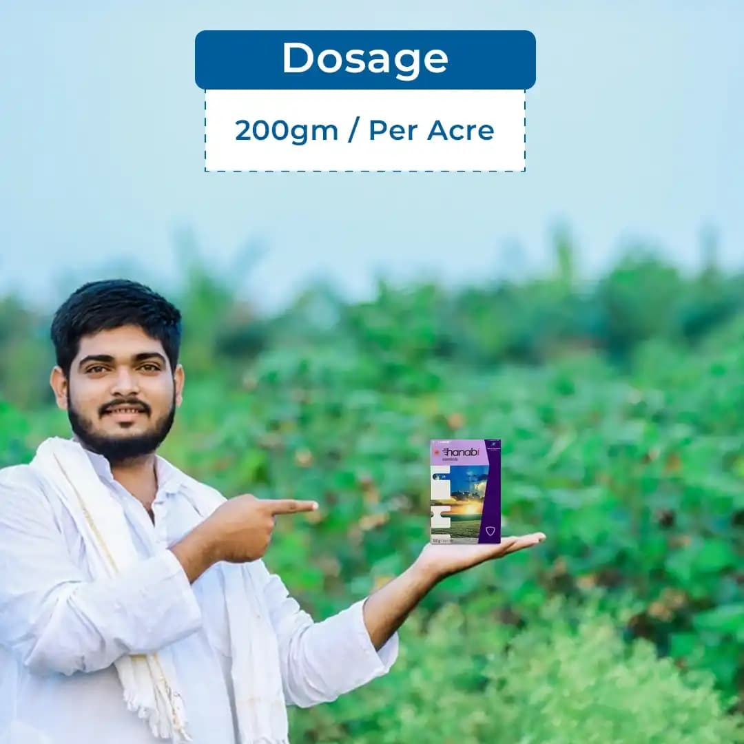 Godrej Hanabi Insecticide - Image 5