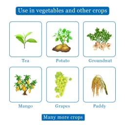 SOFT - Carbendazim 12% + Mancozeb 63% WP Fungicide, Use Against Blast, Leaf Spot , Collar Rot, Root Rot, Early And Late Blight, Blister Blight 4
