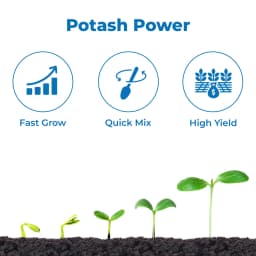 JU Potash 2000 Water Soluble Fertilizer, Which Is Derived From Rhodophytes Containing 20% of Organic Potash 3