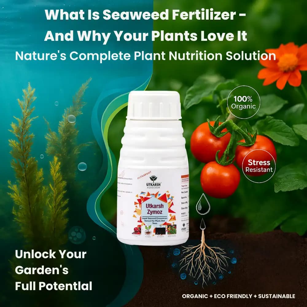 Utkarsh Zymoz-L Seaweed Concentrate Extract Biostimulant, Fertilizer For Plants Home Garden And Trees - Image 2