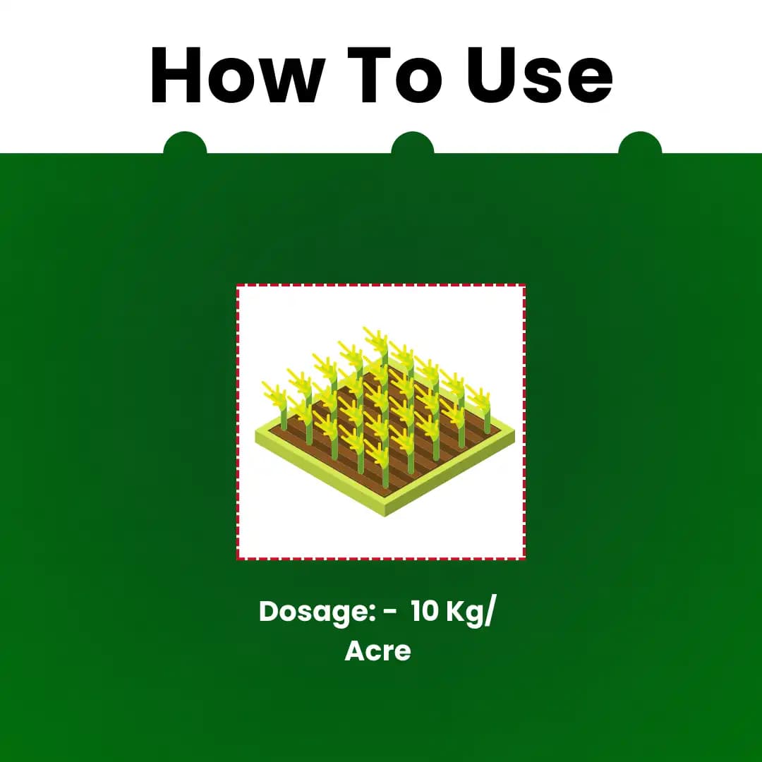 Katyayani Fantasy G.R. Fipronil 0.3% GR Insecticide, Advanced For Effective Pest Control and Crop Protection - Image 5
