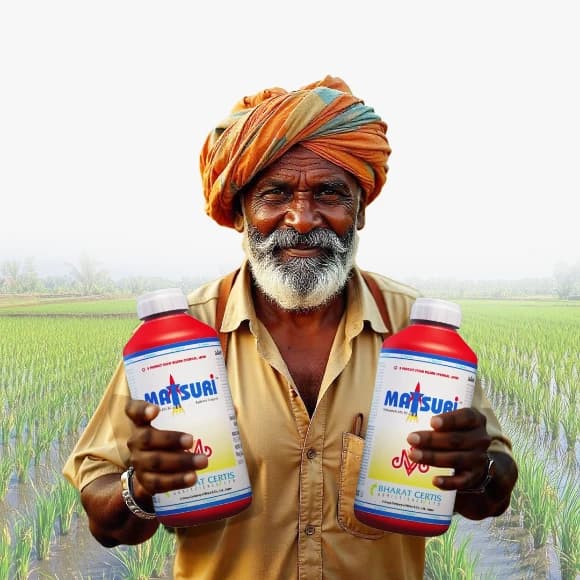 Bharat Certis Matsuri Thifluzamide 24% SC Fungicide, Effective For Sheath Blight Control In Rice - Image 5