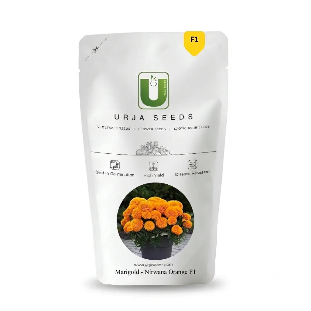 Urja Marigold-Nirwana Orange F1 (Marigold Seeds) - 15 Seeds Pack