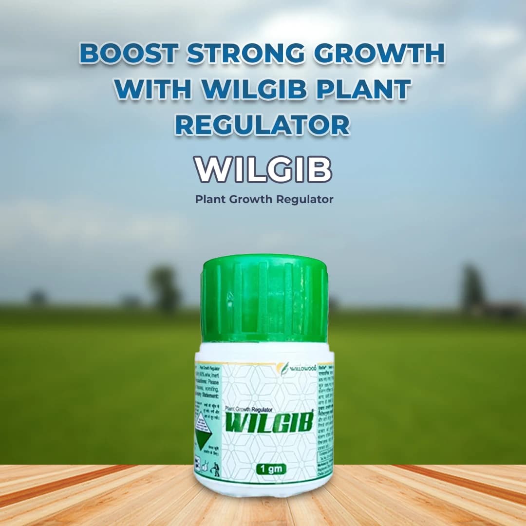 Willowood WILGIB Plant Growth Regulator Gibberellic Acid 90% Used For All Crops. - Image 2