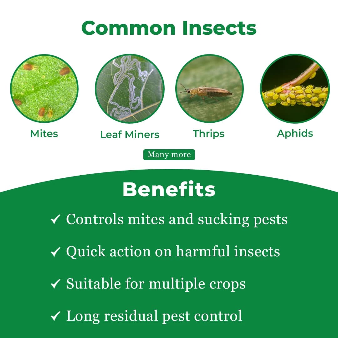 एग्रीवेंचर एबैक्टिन - एबामेक्टिन 1.9% ईसी, व्यापक स्पेक्ट्रम का माइटिसाइड और कीटनाशक, सभी फसलों के लिए उपयोग करें। - Image 4