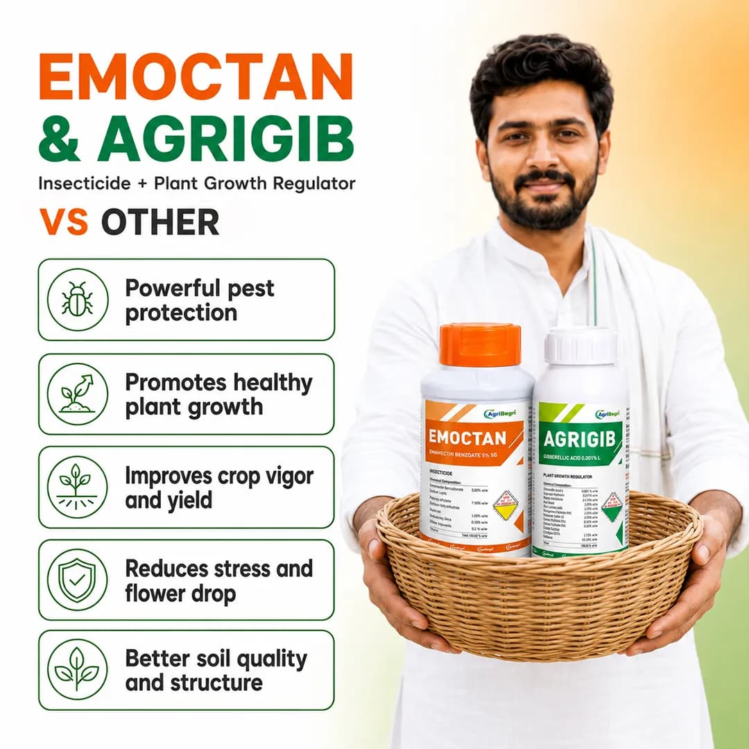 ಆಗ್ರಿಬೆಗ್ರಿ ಕಾಂಬೋ ಪ್ಯಾಕ್ (ಎಮೋಕ್ಟಾನ್ 250gm + ಆಗ್ರಿಗಿಬ್ 500ml) ಶಕ್ತಿಶಾಲಿ ಸಂಯೋಜನೆ, ಸಂಪೂರ್ಣ ಬೆಳೆ ರಕ್ಷಣೆ ಮತ್ತು ಬೆಳವಣಿಗೆ ಪರಿಹಾರ - Image 7