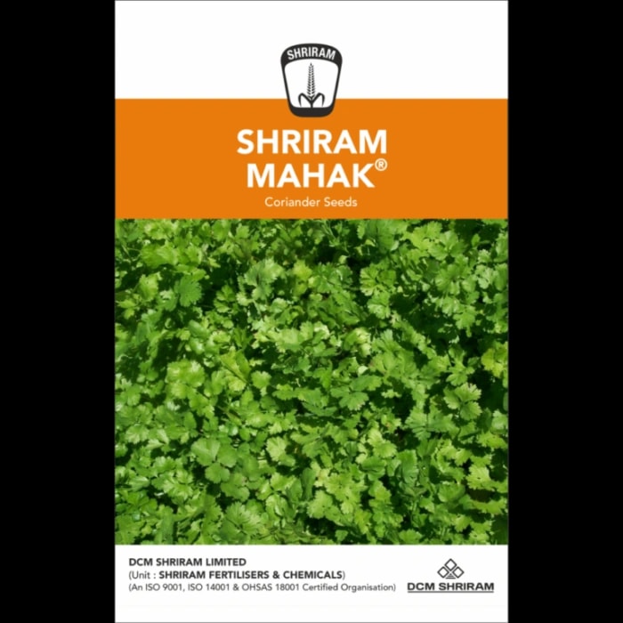 Shriram Mahak F1 Hybrid Coriander Seeds, Dark Green, Aromatic Leaves, Suitable For All Seasons