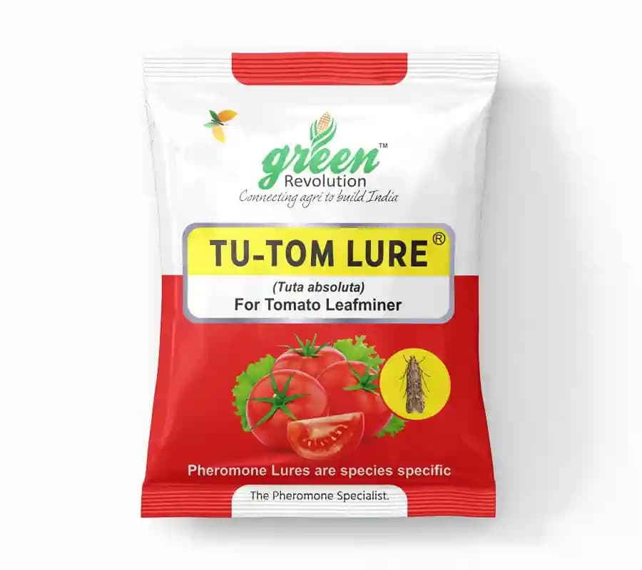 Water Pheromone Trap With TU-TOM Pheromone Lure (Tuta Absoluta ,Tomato Leafminer) for Tomato, Cherry Tomato, and Potato. - Image 2