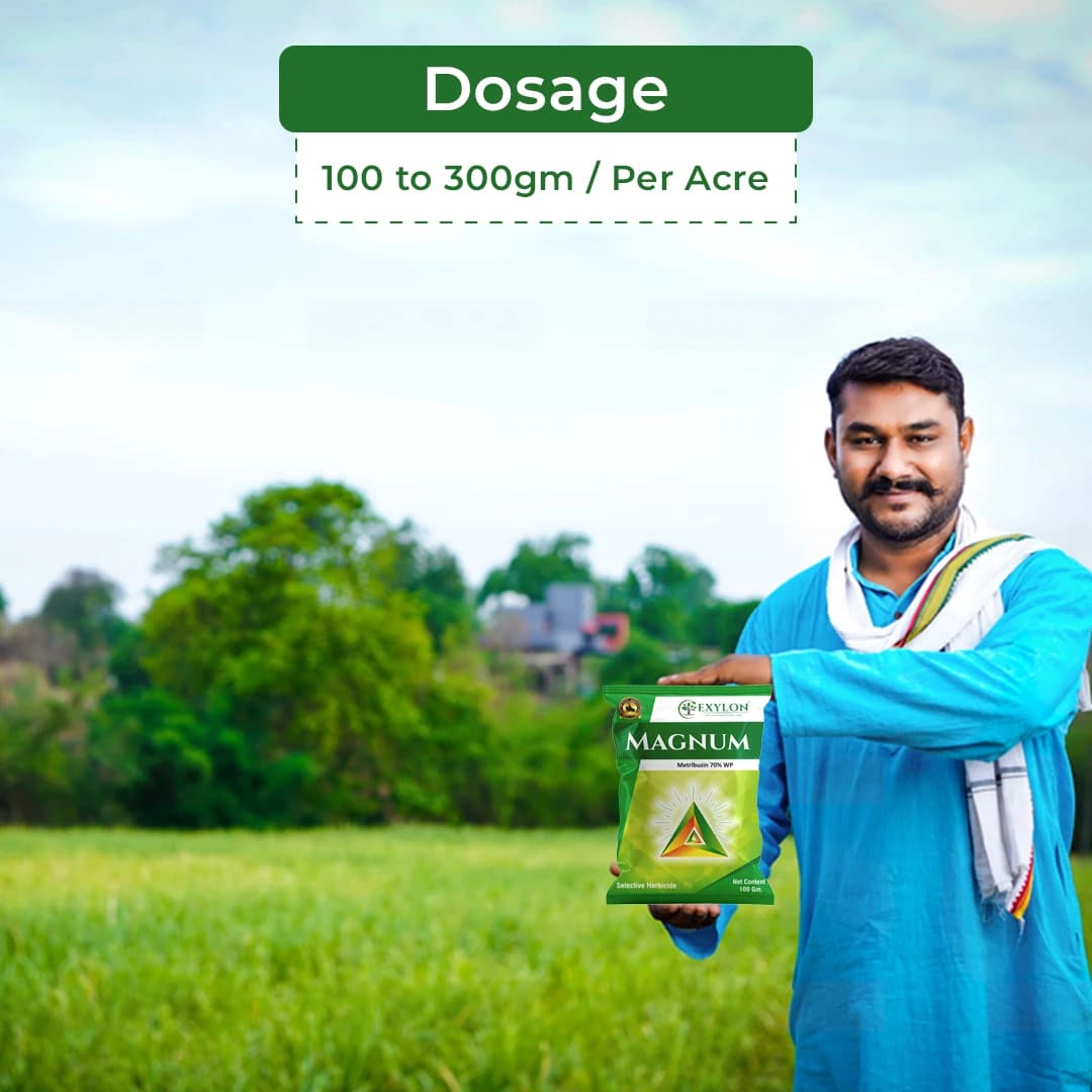 Exylon Magnum Herbicide - Metribuzin 70% WP - Image 5