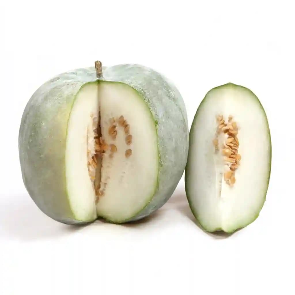 Urja Ash Gourd F-1 Hybrid Seeds , Best In Germination, Perfect For Warm Season.