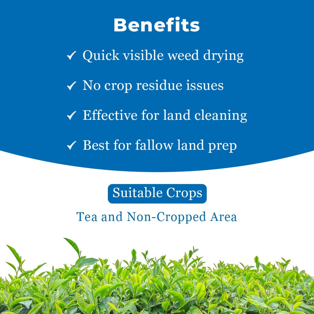 Dhanuka Noweed Glyphosate 41% SL Herbicide, Non-Selective, Complete Weed Control - Image 4