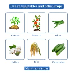 Bayer Admire Imidacloprid 70% WG (70% ww) Contact And Systemic Insecticide, Effective Against Various Insect 4